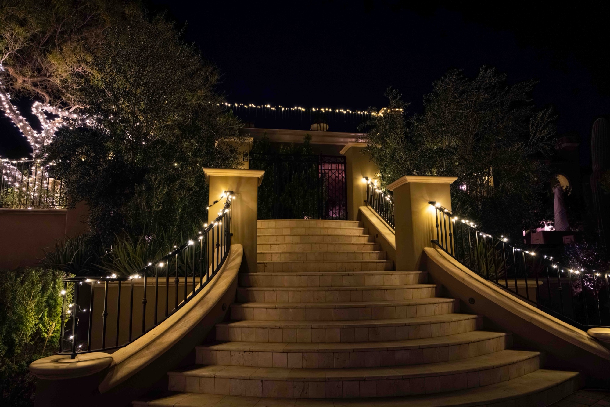 Lit entry staircase and tree wrap at a Scottsdale estate